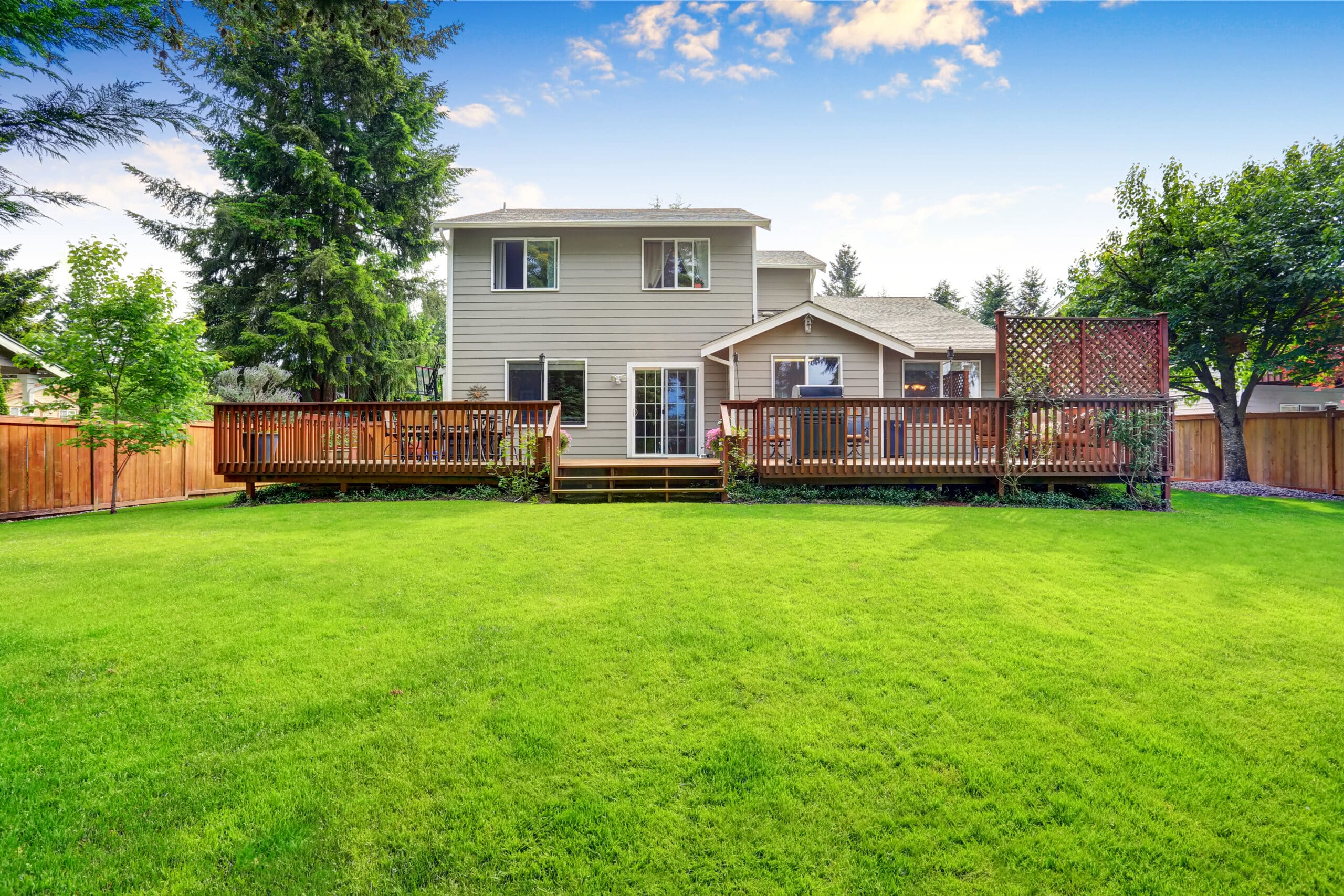 Back yard with green grass